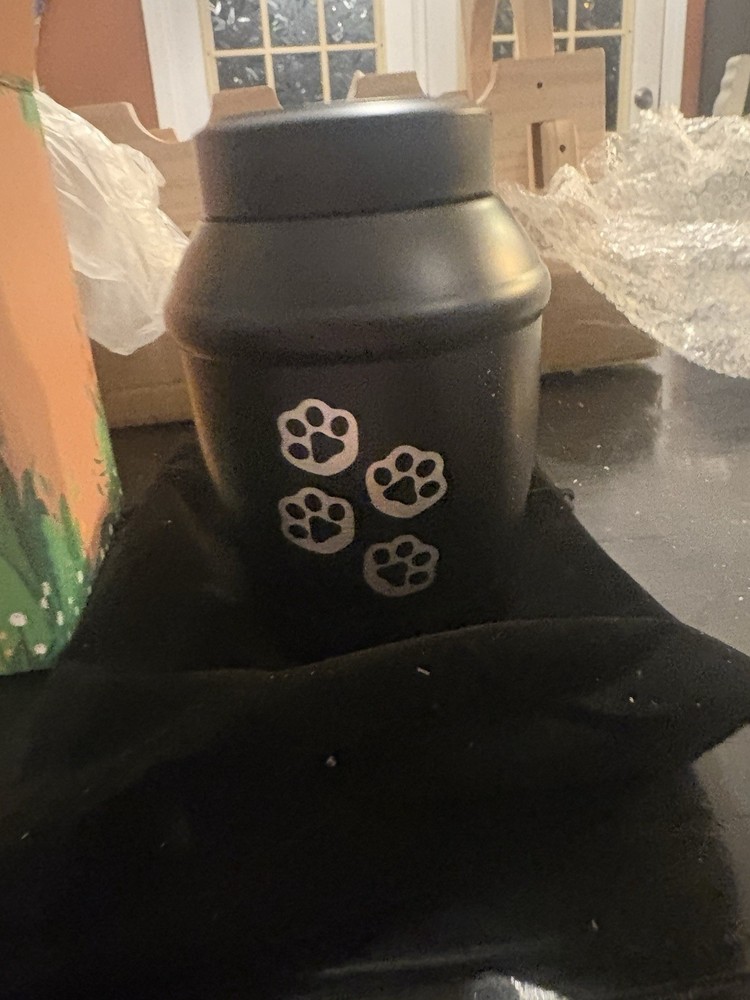 Pet Cremation Urn. New!
