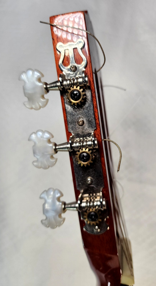 Hand Crafted S101 C2390 Guitar with Case & String - Used