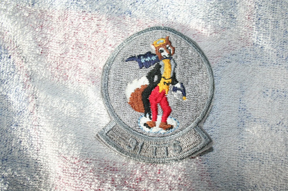 31st Tactical Training Squadron (TTS) Patch