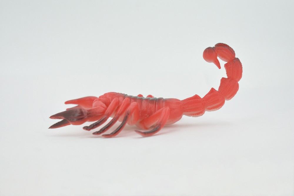 Scorpion, Red Black Big Solid Rubber Bug, Toy, Realistic Figure 5" ABC14 B263
