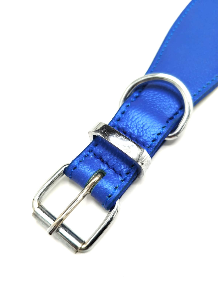 Dog Collars - Original Leather - Comfortable Inner - Blue