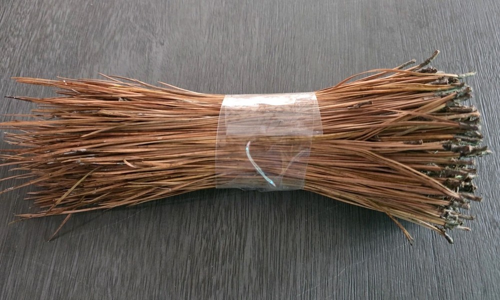 Loblolly Pine Leaf Pine Needles 9" for Basket Making Basketry 4oz per Bundle
