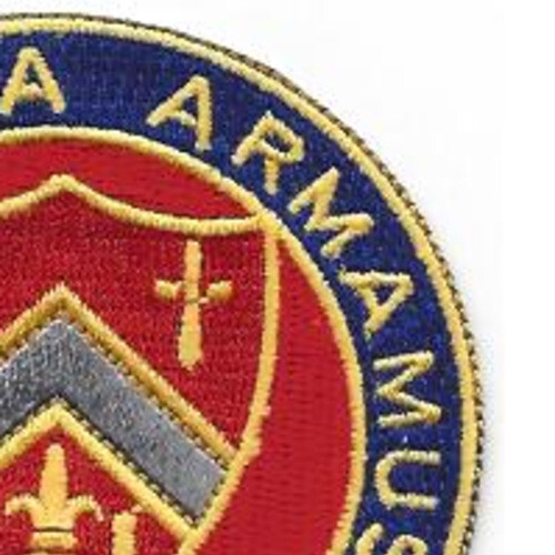 245th Field Artillery Regiment Patch
