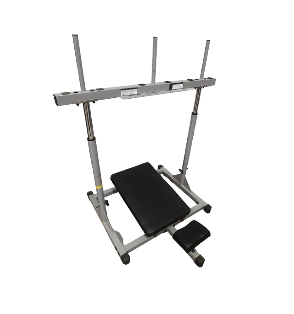 Body-Solid Powerline Vertical Leg Press PVLP156X Strength System