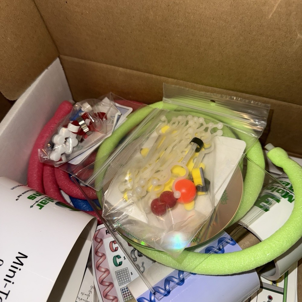 3D Molecular Designs Mini-Toober ß-Globin Folding Kit