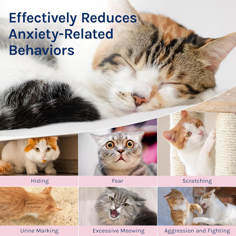 Cat Calming Pheromones Diffuser: 2 Classic Cats Plug in Refill Diffusers for Rel
