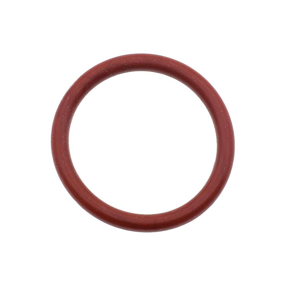 Essential Brew Group Replacement O-Ring for Saeco & Krups – Simple Installation
