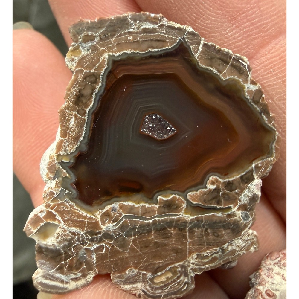 Baker Ranch Thunder Egg Agate Geode Kid Pair Polished New Mexico Fluorescent