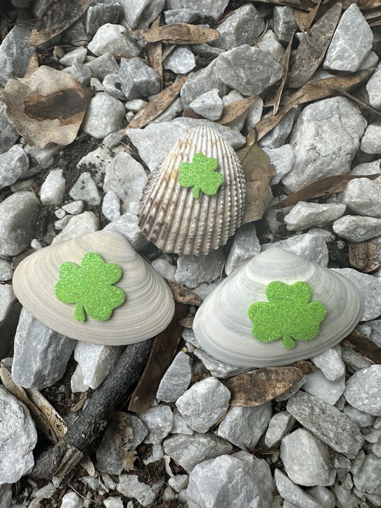 St Patrick’s Day Shell Making Kit 20 Shells And 20 4 Leaf Clover Stickers