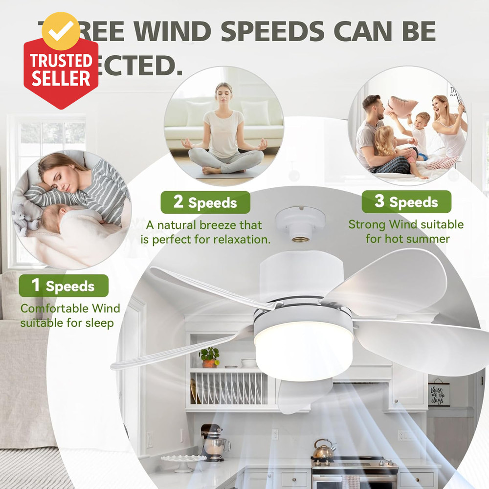 Socket Breeze Socket Fan Light with Remote Control, Portable Small Ceiling Fans