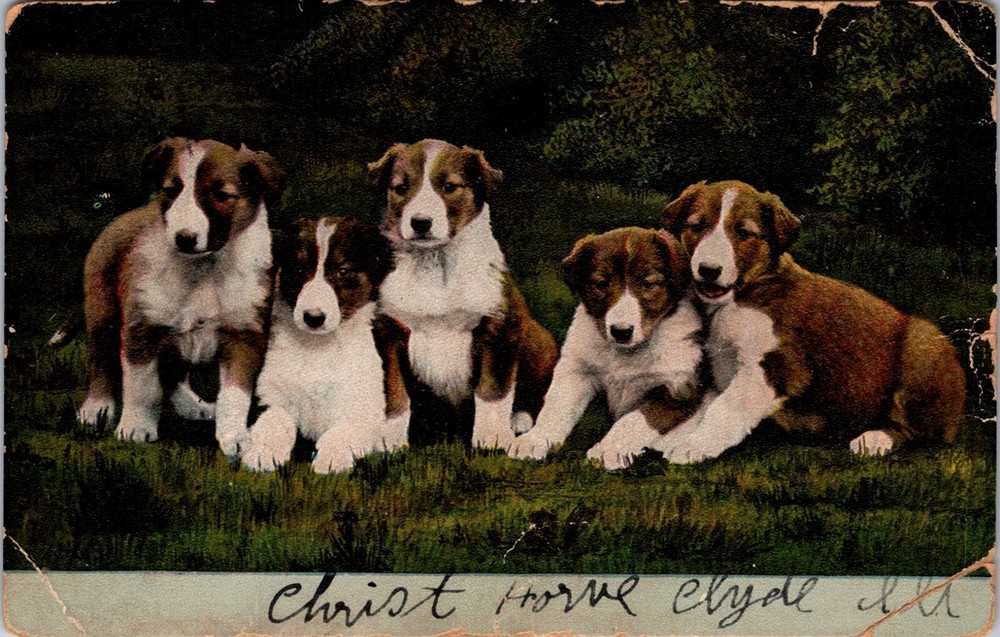 1906 Postcard - Clyde, ILL - F66574