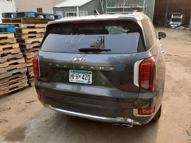 PALISADE 2020 Camera/Projector 537942