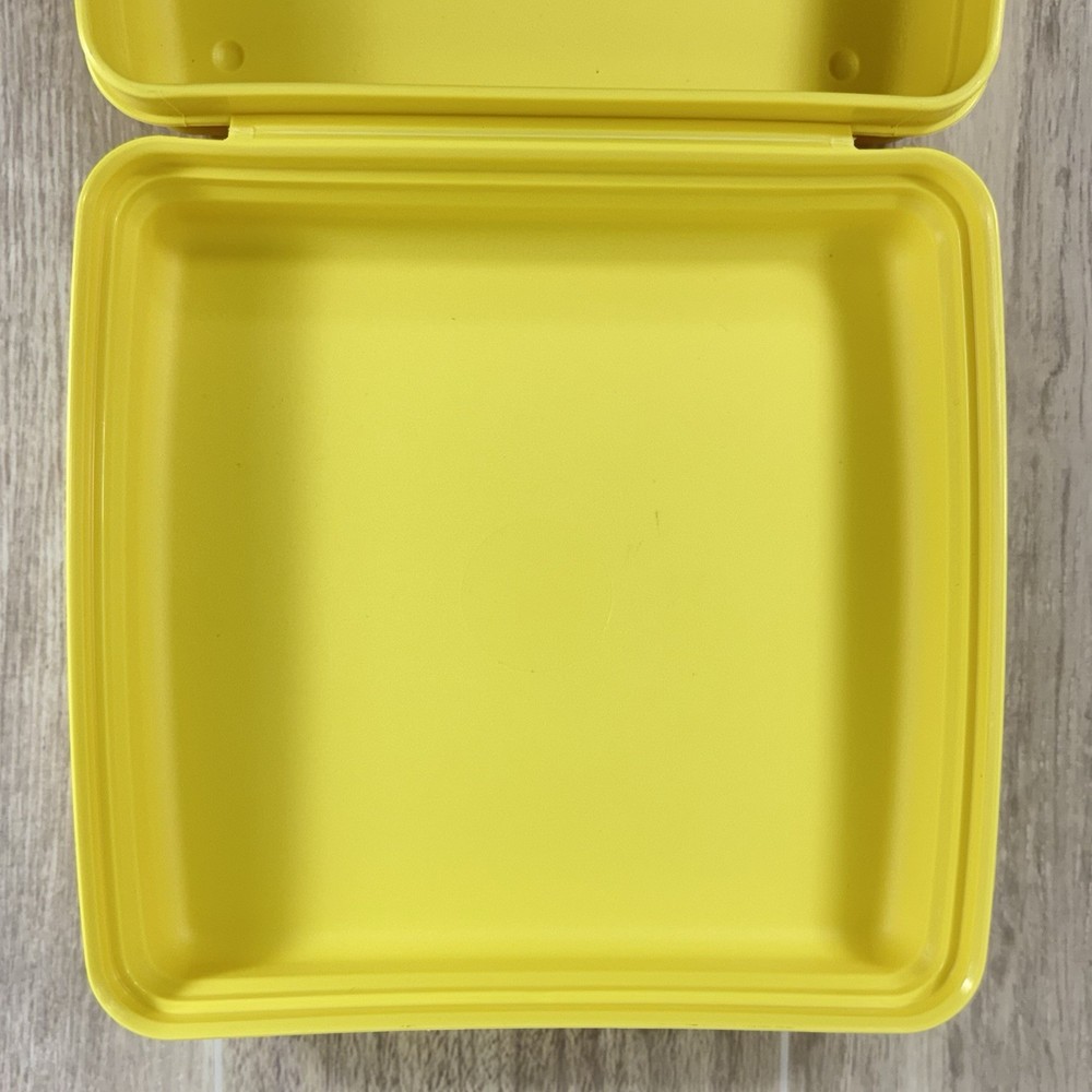Tupperware SPONGEBOB SQUAREPANTS Sandwich Keeper Gary Pineapple 2007 EUC