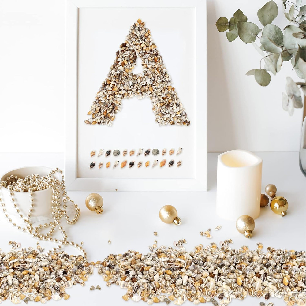 2000 Pcs Tiny Sea Shells for Crafting,Mixed Ocean Beach Mini Seashells Bulk f...