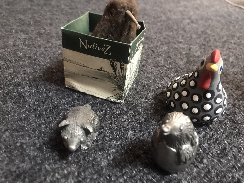 Nz Kiwi, Tasmanian Devil, Hen, Echidna