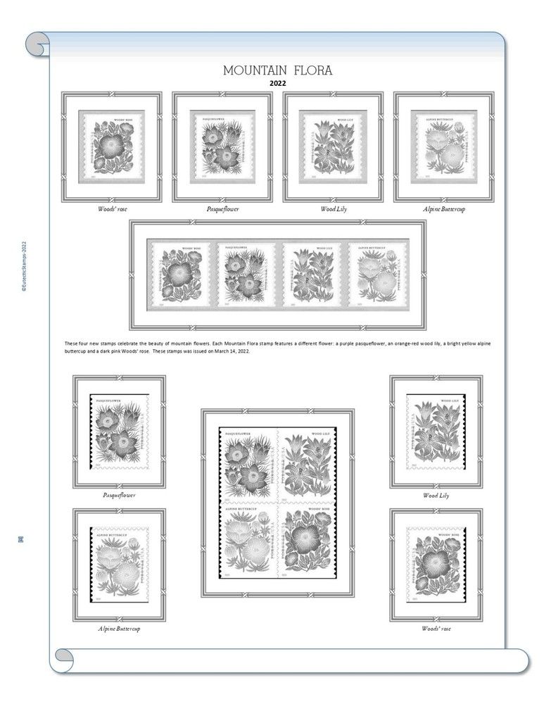 2022 U.S. Regular Issue Singles COMPLETE Supplement (White Ace Alternative)