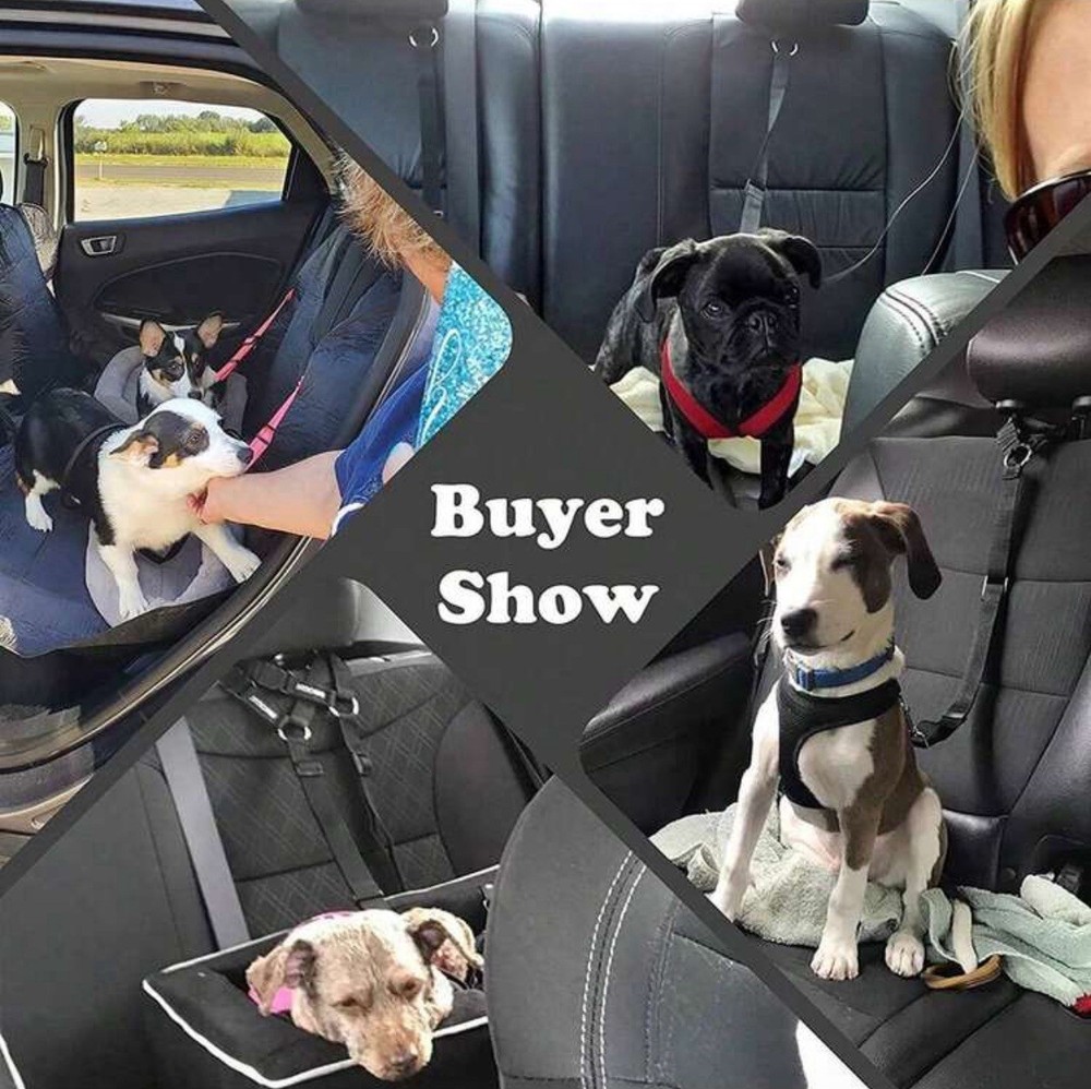 Pets Car Belt