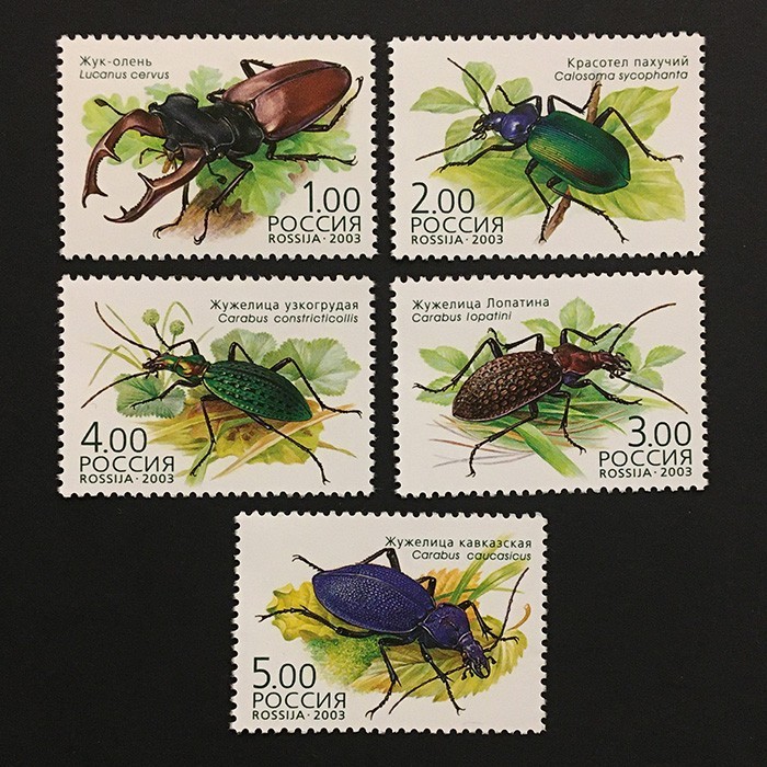 Russia 2003 complete set MNH ** insects Sc#6785a-e Mi#1100-1104