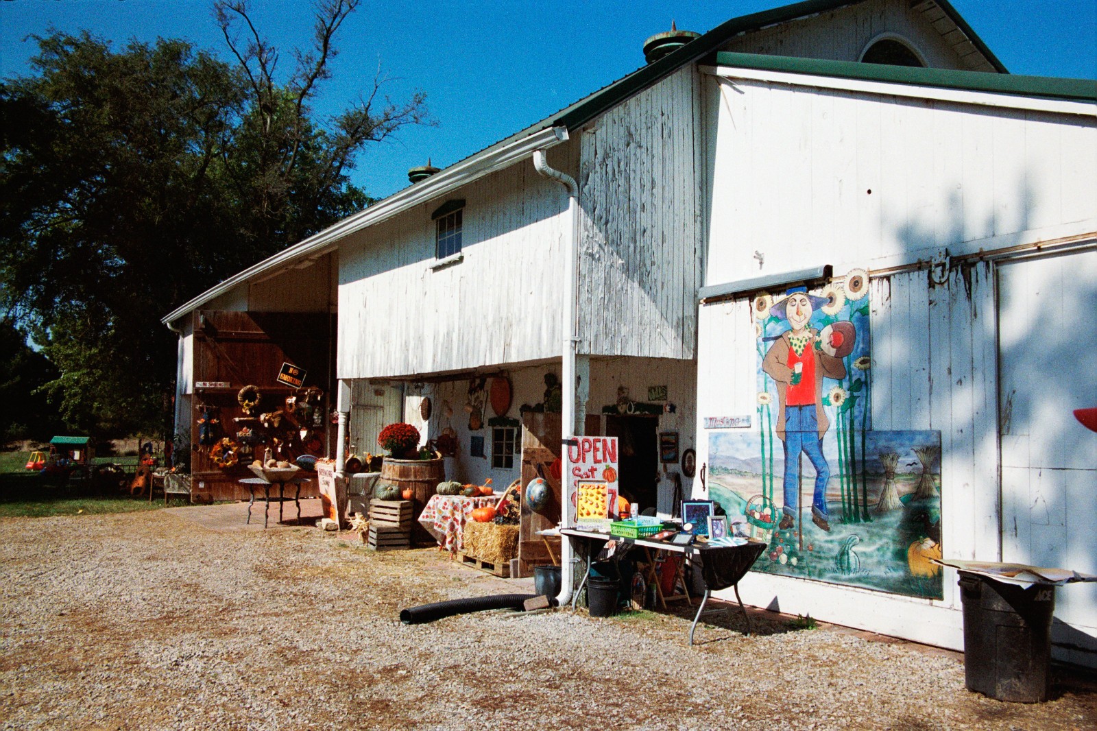 NIGHT ALIEN - 35mm Color Negative High Speed Film 800D - 36 exp C-41 BRAND NEW