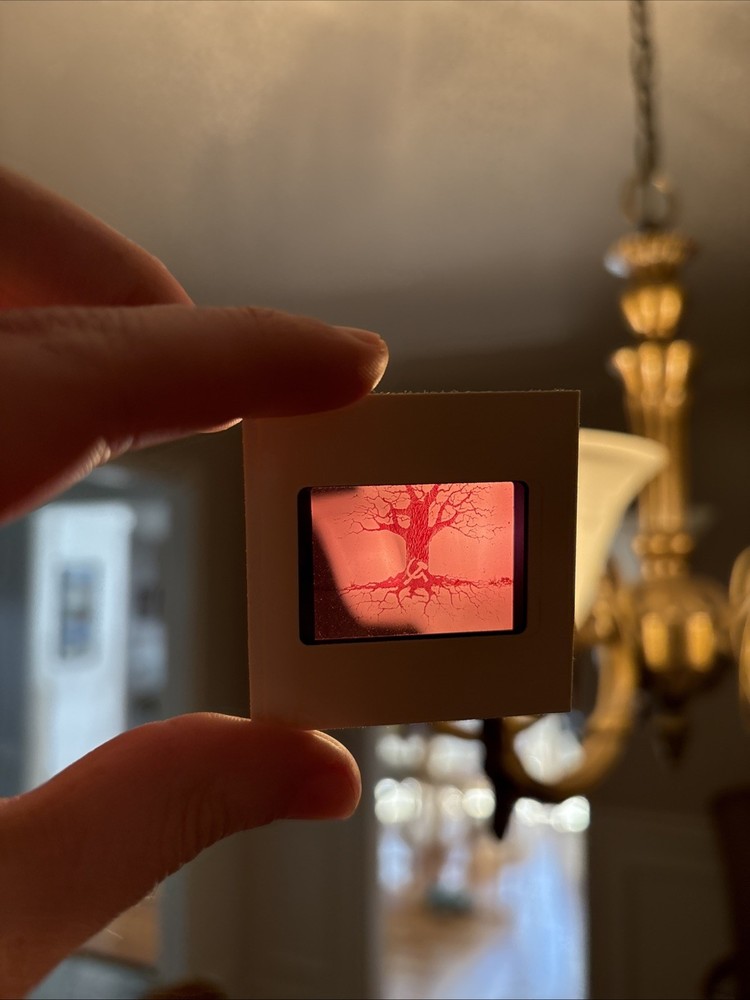 Us Army Intelligence School - Presentation Slides 1961 Communism