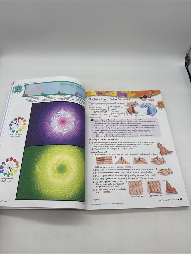 Abeka Art Projects 3 Student Workbook (5th Edition) 3rd Grade