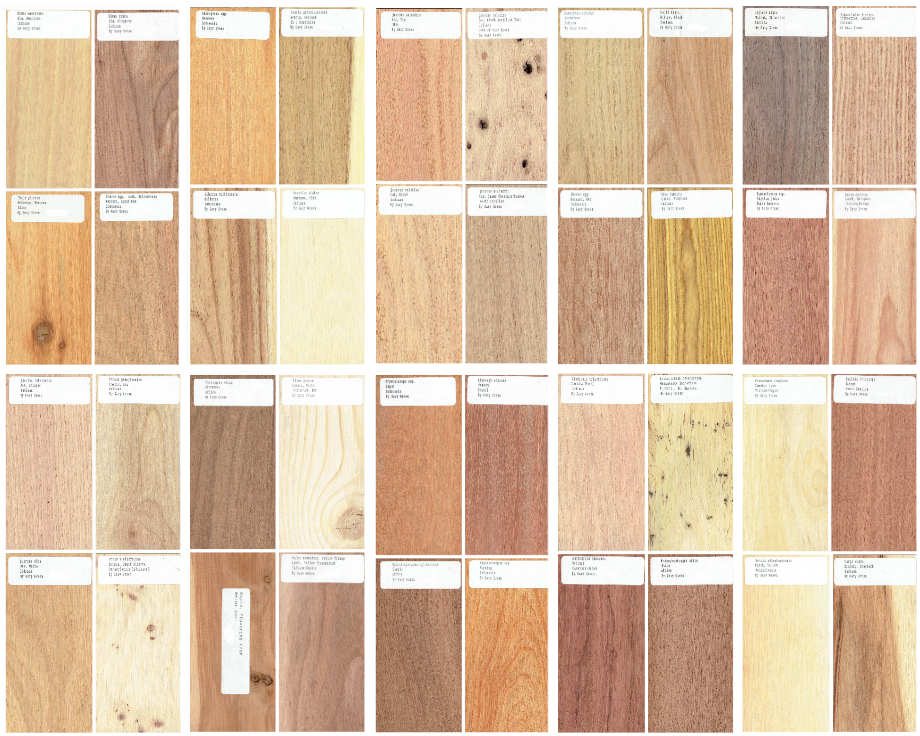 40 pc. Set of 1/2 x 3 x 6" Wood Samples for Collecting, Knife Scales, etc. Set 1