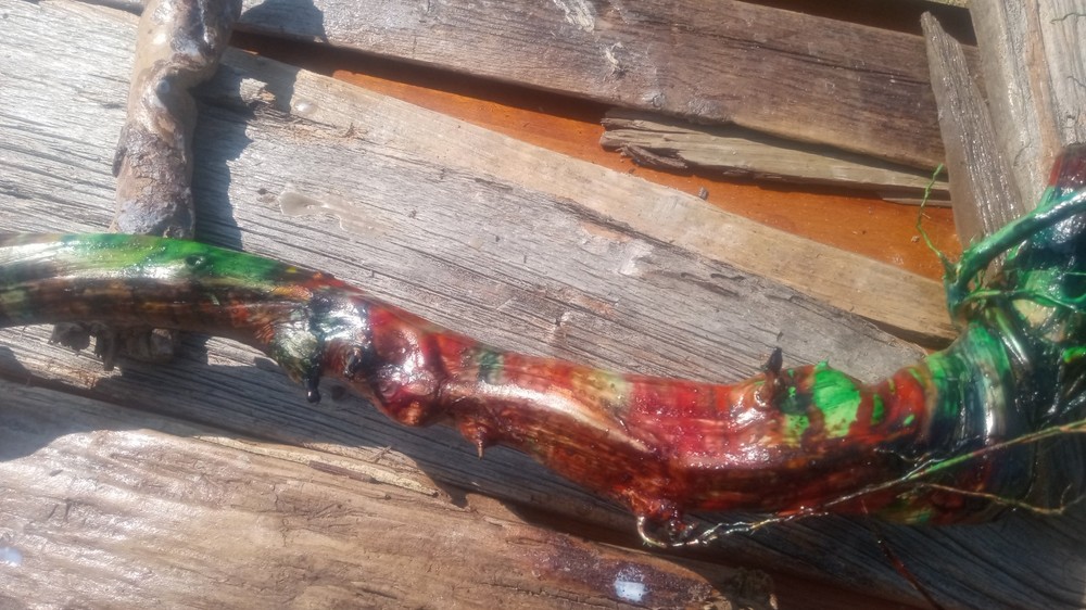 Rainbow Driftwood