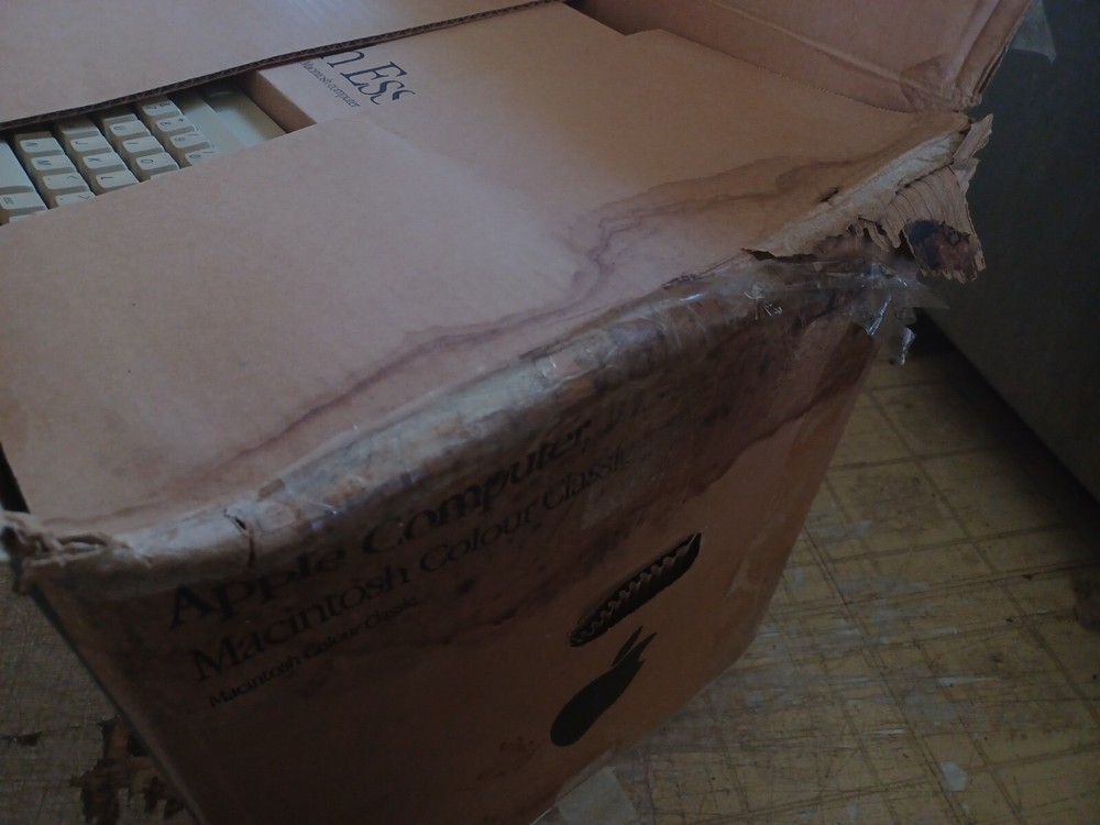 Apple Macintosh Color Classic - video issues