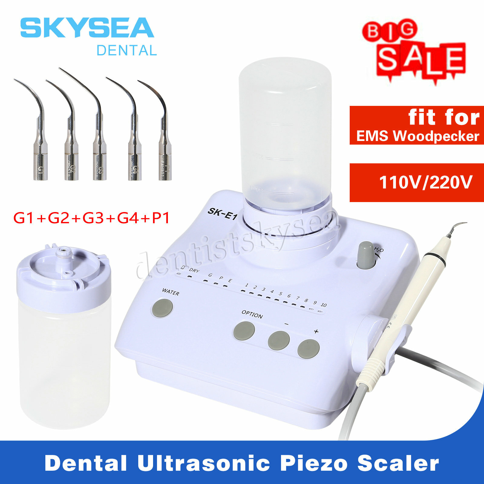 Dental Portable Ultrasonic Piezo Scaler 2*Bottles fit Cavitron EMS Handpiece