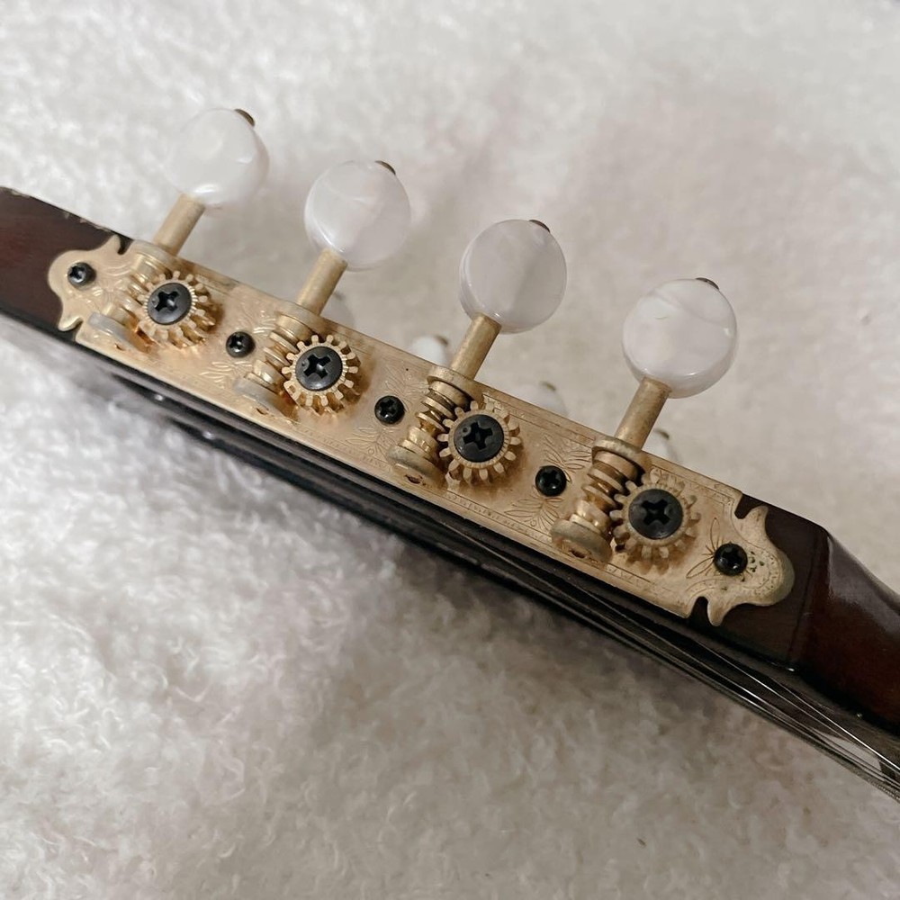 SUZUKI Mandolin M-60 with hard case