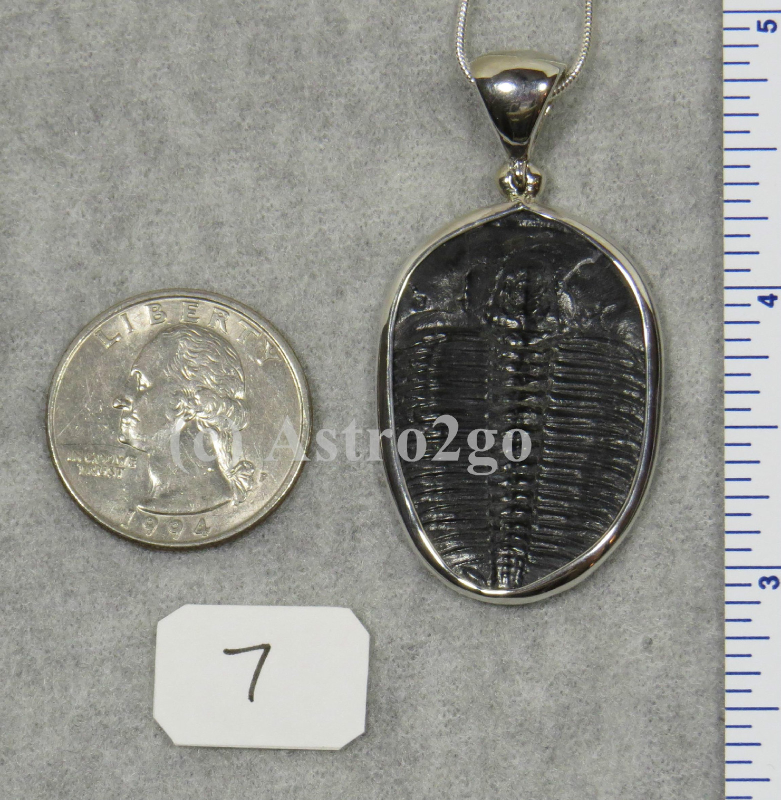 Elrathia Kingii TRILOBITE PENDANT $109 Sterling Silver Jewelry STARBORN CREATION