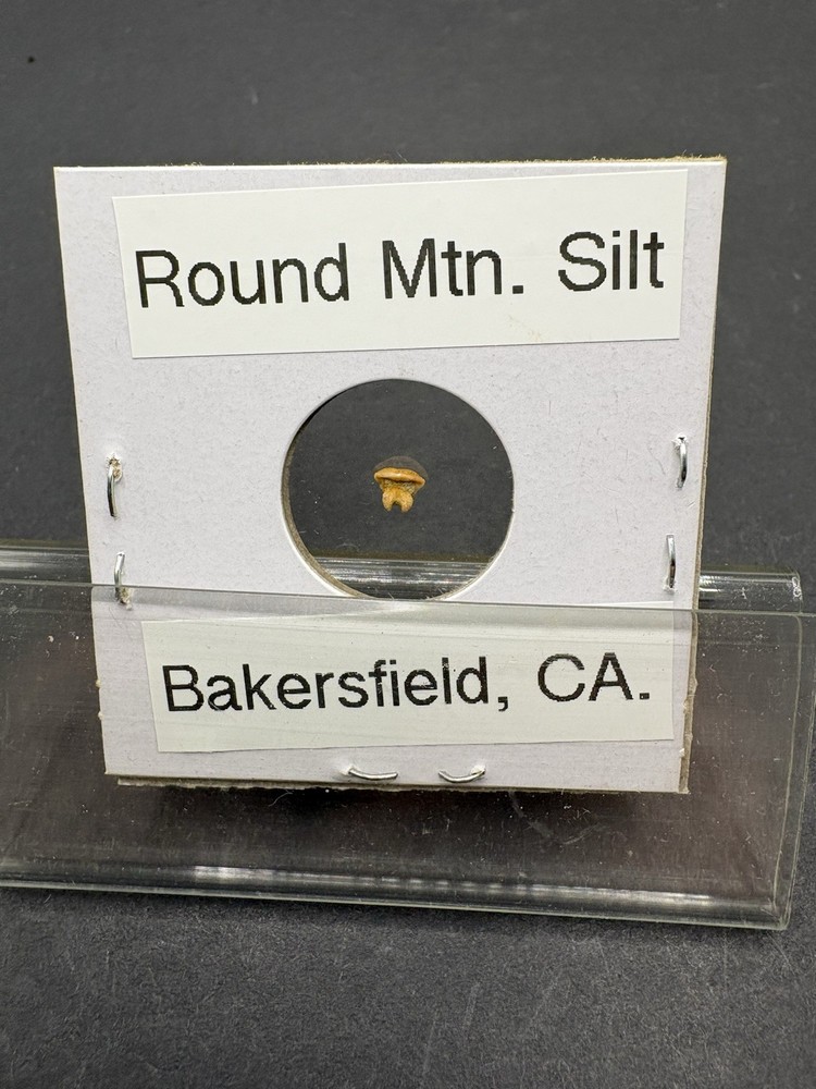 (12)- Mixed Location Micro Fossils- Miocene, Oligocene, Eocene, Cretaceous