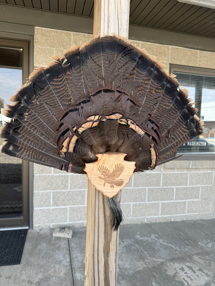Turkey Tail & Beard Hardwood Plaque