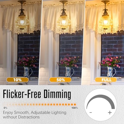 LED Edison Bulbs Dimmable, E26 Bulb 60 watt Equivalent 10 Pack Soft White