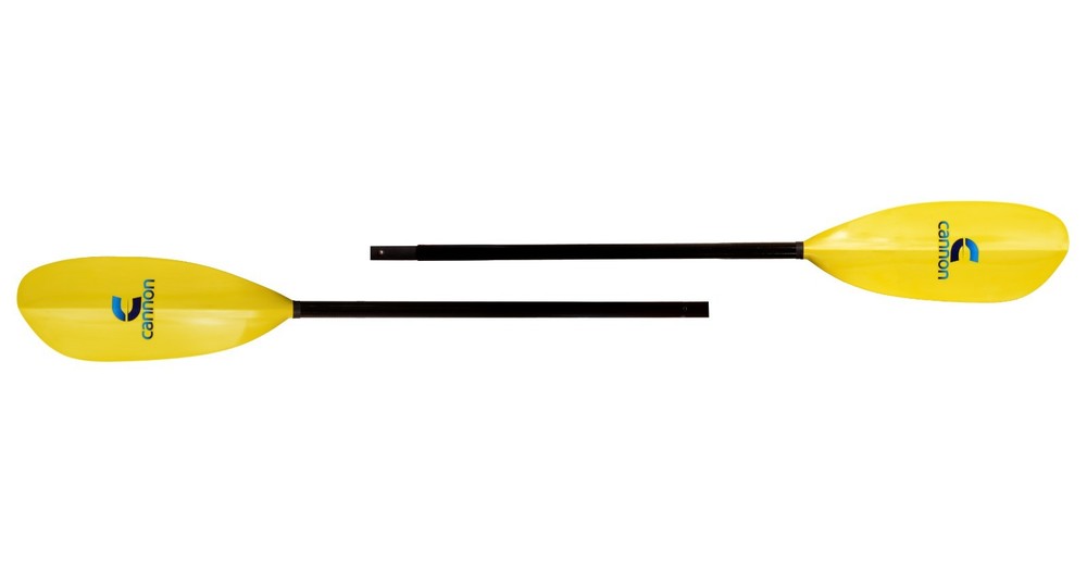 Cannon Explorer FX