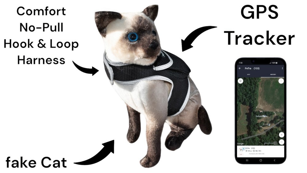 iTrackPET GPS Pet Tracker for Cat - Waterproof, GPS Location & Activity Tracker
