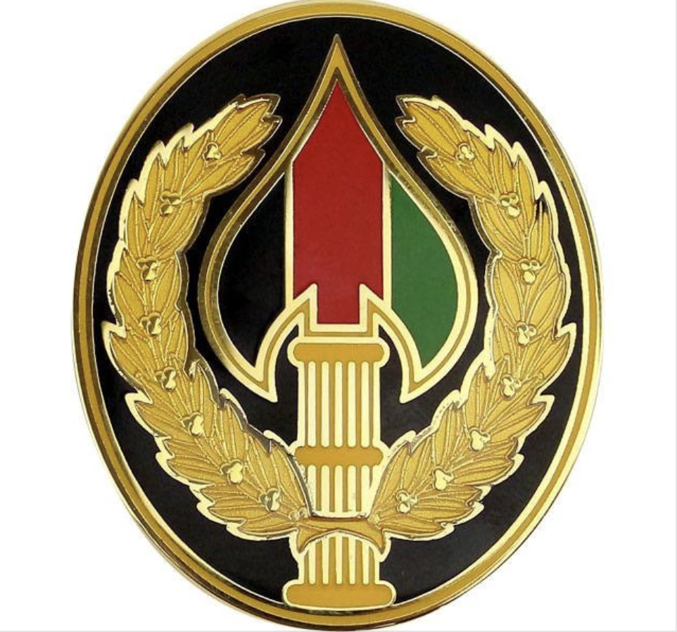 GENUINE U.S. ARMY COMBAT SERVICE IDENTIFICATION BADGE (CSIB): SPECIAL OPERATIONS
