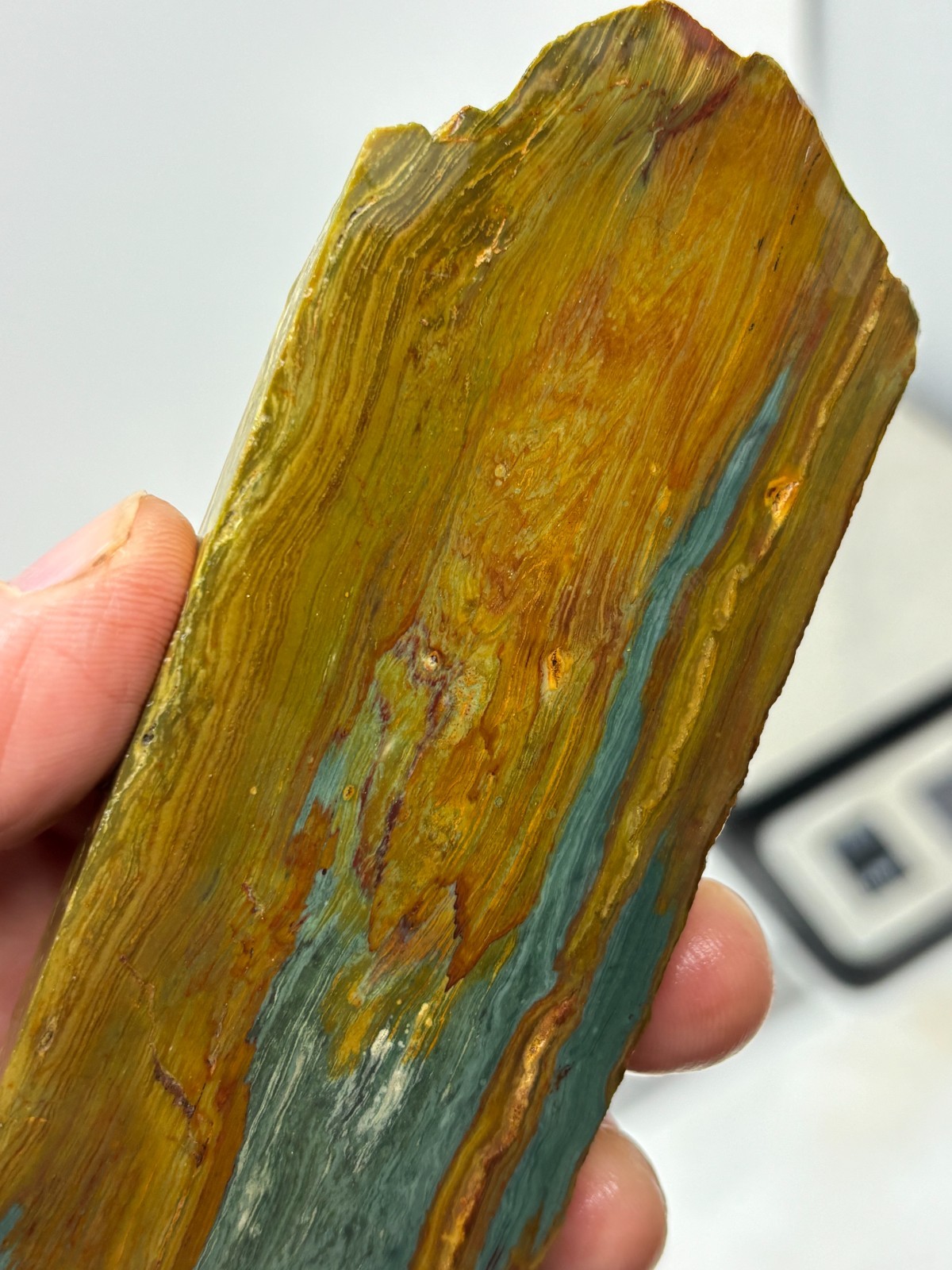 Gary Green Caldera Freedom Jasper Slab Cabbing Lapidary Combo Ship Avail