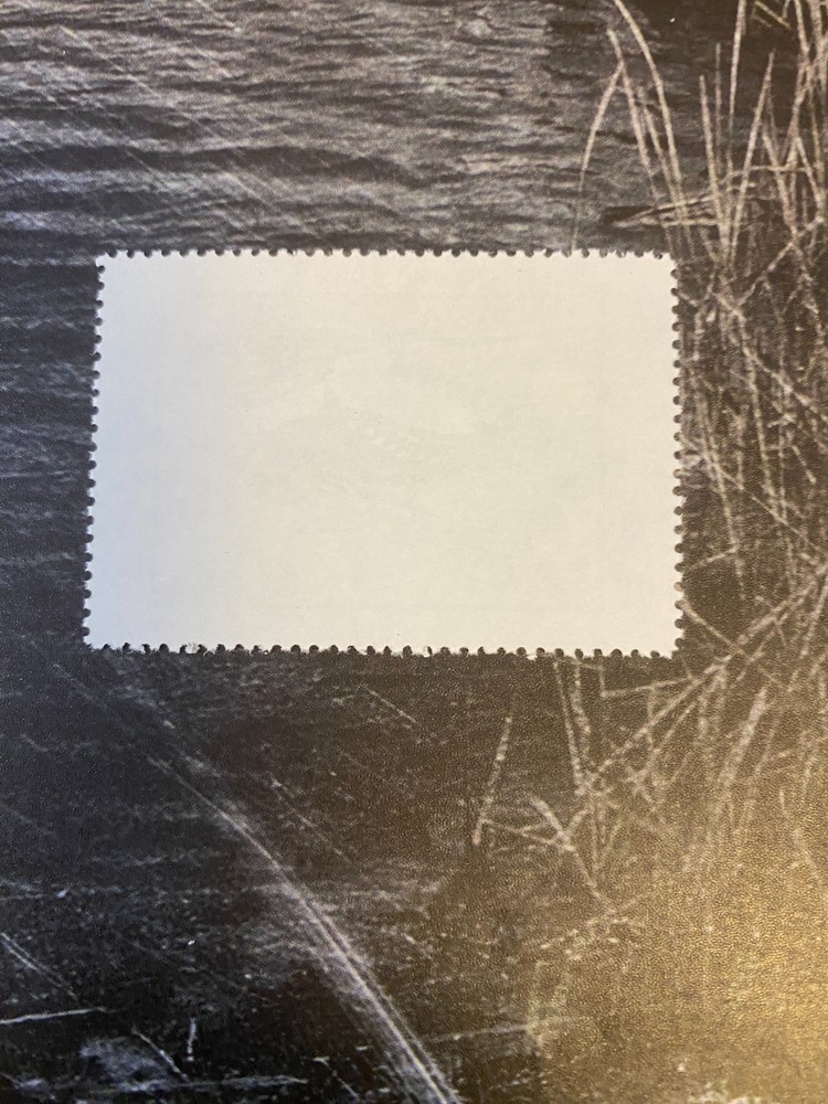 1995 Kansas State Duck Stamp,