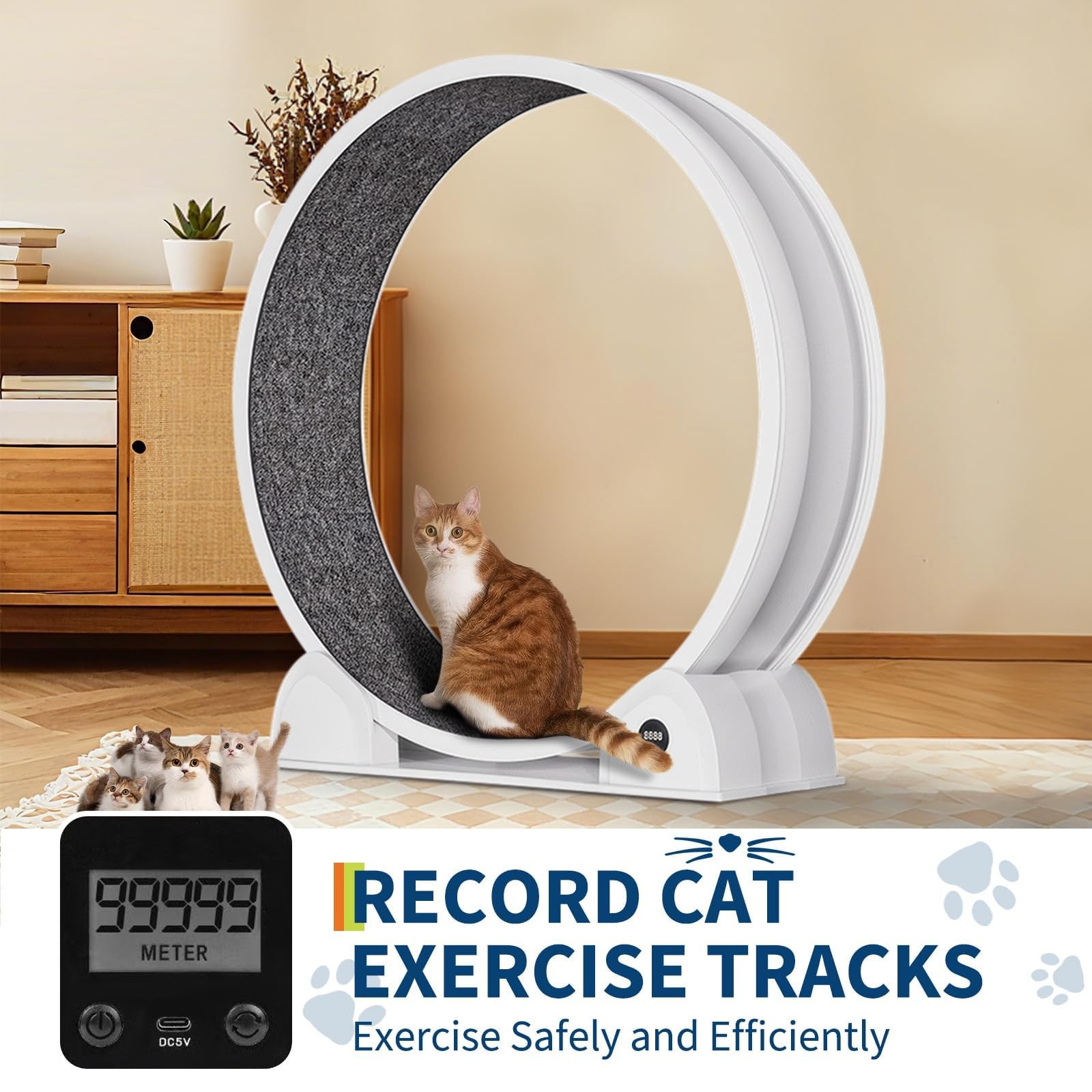 45" Cat Exercise Wheel ABS Cat Treadmill Running Wheel Cat Toy with Pedometer