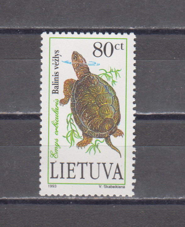LITHUANIA :  1993 - MNH  - SCOTT # 473  TURTLES