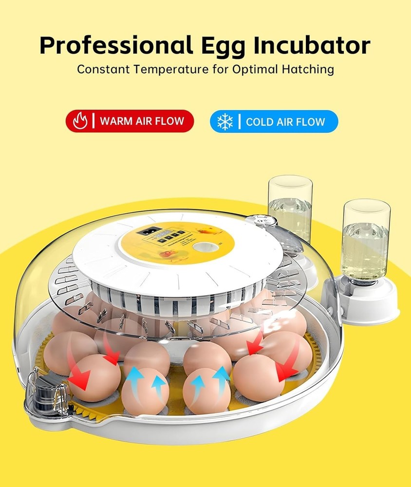 Professional Egg Incubator – 360° Full View, Precise Temperature Control, Automa