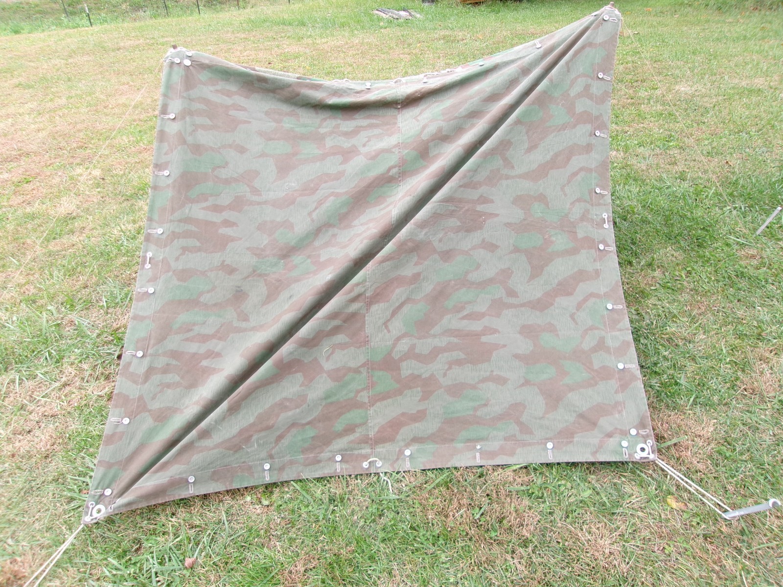 WW2 Swiss M31 Splittertarnmuster Tent - 2 Halves, Poles and Stakes