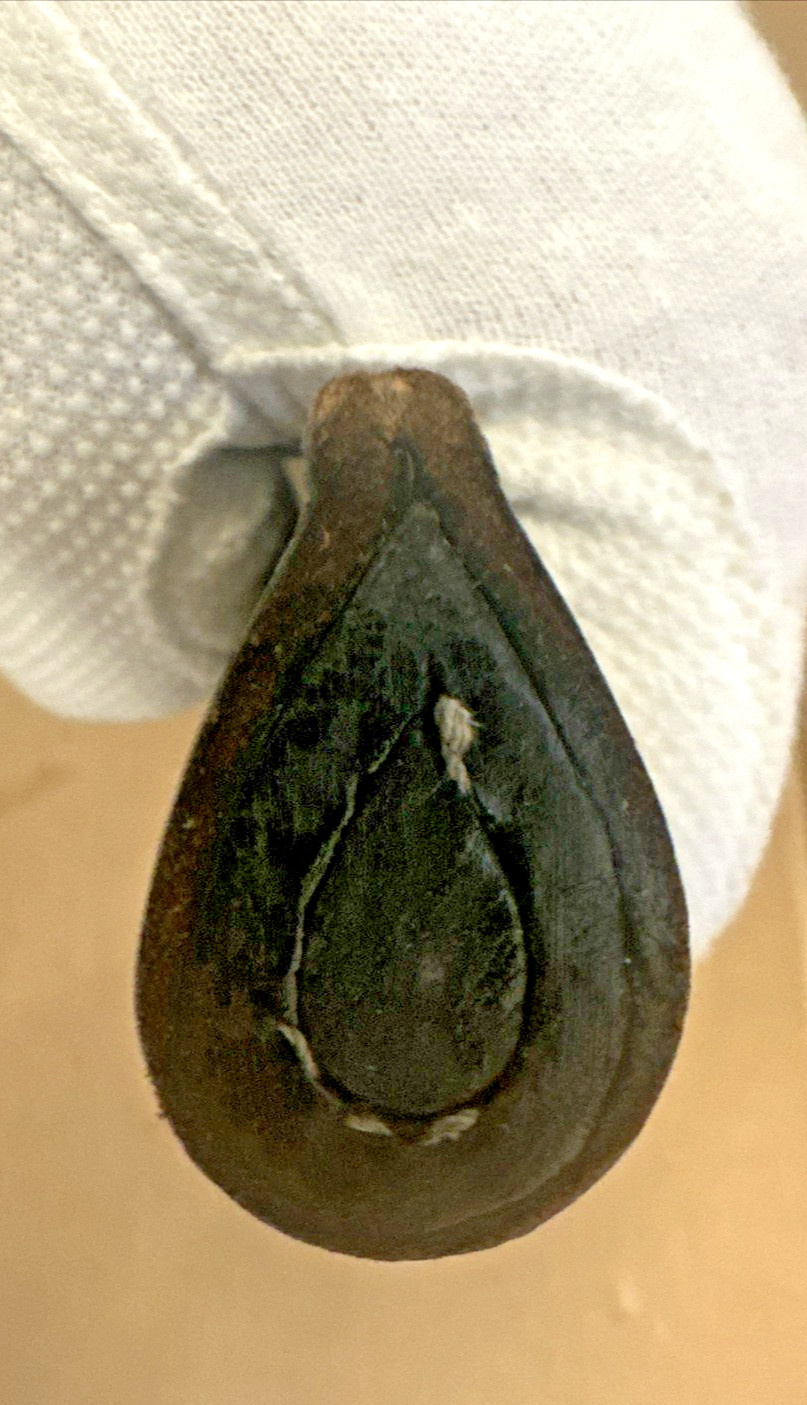 Vintage Replica of US Civil War Revolver Pistol Gun Leather Holster Viking RH