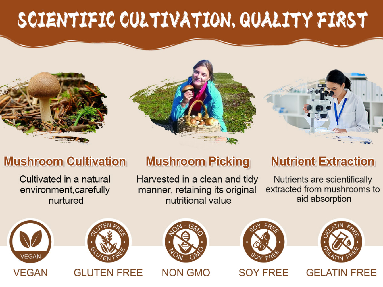 New Mushroom Coffee Organic Coffee 60 Servings in One Pack, No Odor, Exp 12/2027