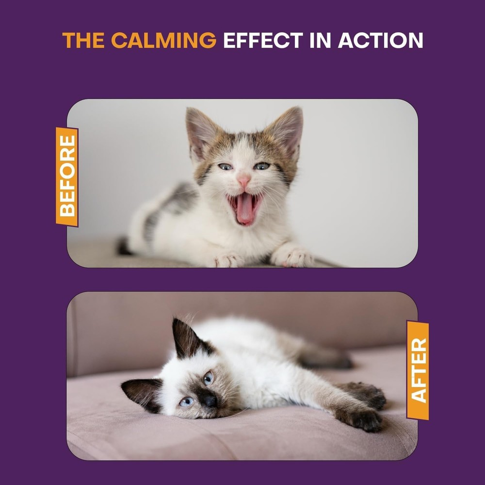 Cat Pack Includes 2 Diffusers Machines & 3 Refills Pheromone Plug-In for Cats...