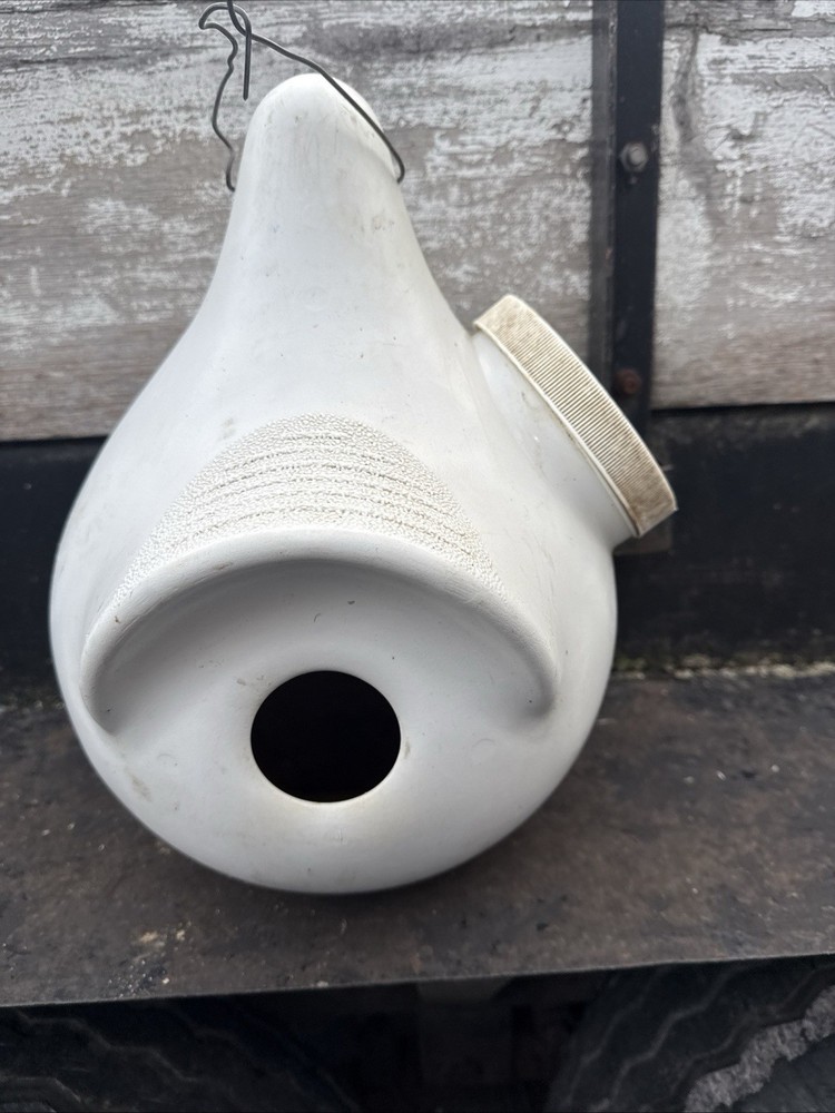 Birds, Paradise Birdhouse