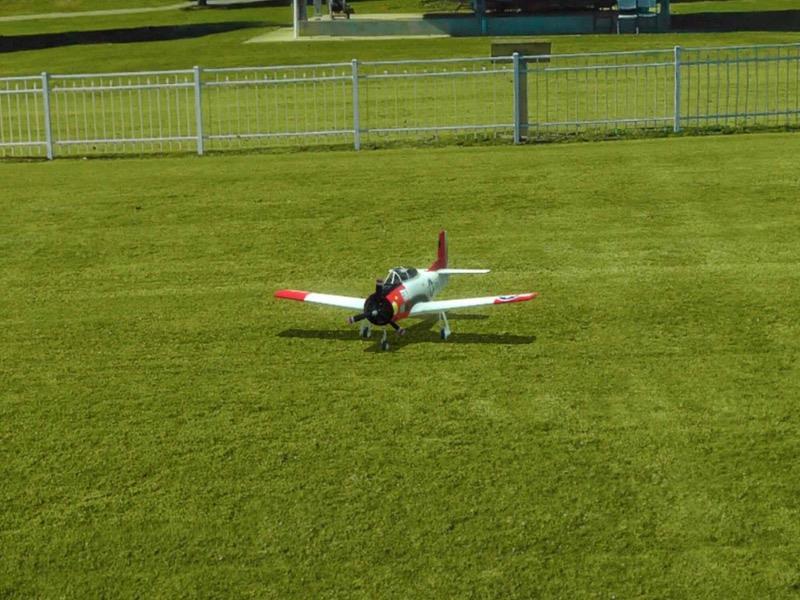 RealFlight Evolution RC Flight Simulator Software Only : A-RFL2001