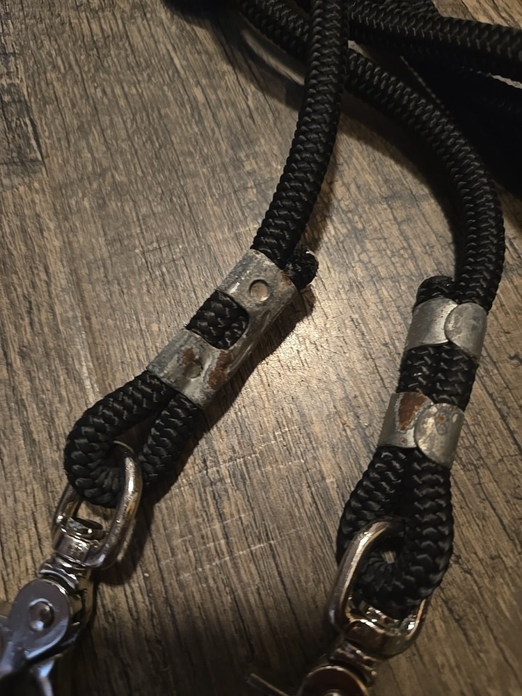 horse draw reins