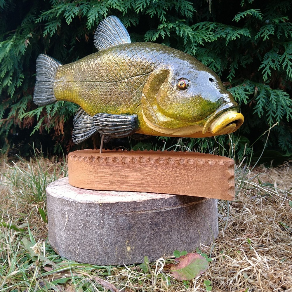 Tench Fishing , fish